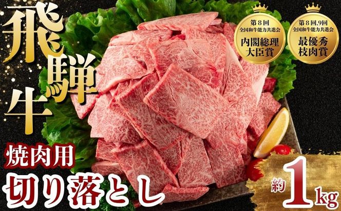 飛騨牛 焼肉 切り落とし 1kg | 牛肉 肉 切落し 飛騨牛 訳あり 訳アリ わけあり ワケアリ 不揃い 冷凍 まるたか 食品 バーベキュー BBQ 家用 家庭用 岐阜 瑞穂市