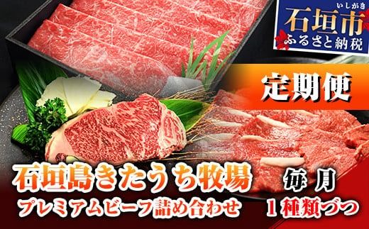 【定期便 6回】石垣島きたうち牧場プレミアムビーフ 詰め合わせ 牛肉 肉 定期 肉定期便 6ヶ月 6ヵ月 しゃぶしゃぶ ステーキ 切り落し 切り落とし 焼き肉 すき焼き サーロイン モモ 赤身 AM-17