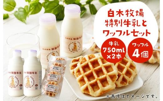 yÖszؖq   750ml×2{ bt ×4Zbg