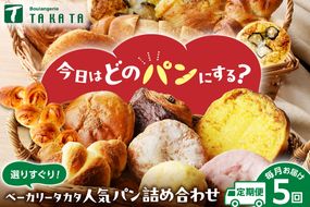 【5回定期便】京都のパン屋★ 京都 丹後のおまかせ お楽しみパン 5ヶ月定期便 【訳あり】 BT00022