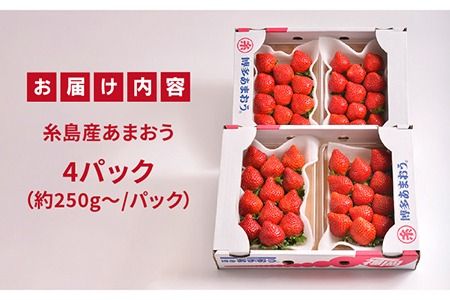 【先行予約】糸島産【冬】 あまおう 4パック  【2025年12月上旬以降順次発送】 《糸島》【南国フルーツ株式会社】  [AIK006] いちご ギフト イチゴ 食べ比べ 苗 タルト