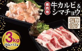 G3400 牛カルビ＆シマチョウ 塩麹漬け 焼肉セット 合計3kg【味付け 小分け 焼くだけ 簡単調理 BBQ 250g×12袋 牛肉 ホルモン】