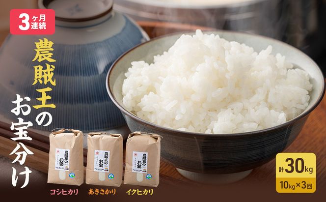 米 定期便 3ヶ月 農賊王のお宝分け 10kg 高島屋選定品 コシヒカリ こしひかり あきさかり イクヒカリ お米 おこめ こめ コメ 白米 精米 ご飯 ごはん 福井県 福井 3回 お楽しみ 