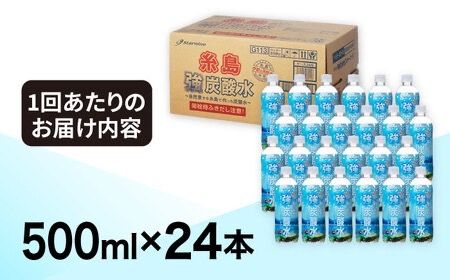 【全12回定期便】強炭酸水 プレーン 500ml × 24本 糸島市 / スターナイン 炭酸水 国産 [ARM011] 炭酸水 500ml 24本 送料無料 プレーン 国産 炭酸 常温