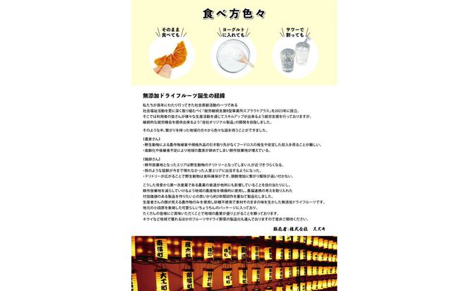 無添加ドライフルーツ(キウイ)16g×2袋入【 神奈川県小田原市 】 142069_HU002