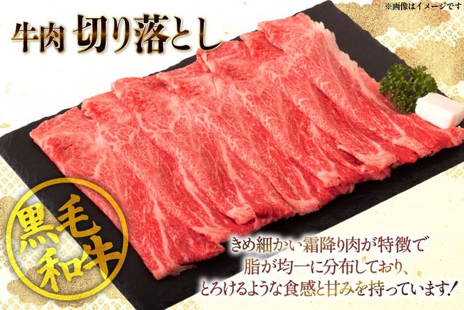 牛肉 宮崎県産 黒毛和牛 赤身 スライス 切り落とし 250g 6p 計1.5kg セット [TRINITY 宮崎県 日向市 452061320] すき焼き 冷凍 小分け 黒毛 霜降り 牛 和牛