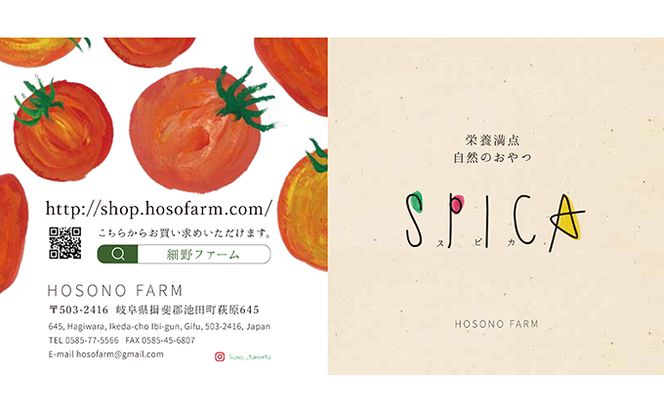 HOSONOFARMプレミアムミニトマト「スピカ」1kg 野菜 