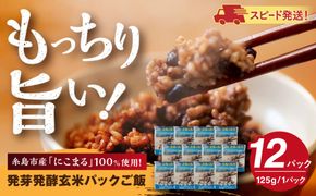 発芽発酵玄米パックご飯 125g×12パック 糸島市産 糸島市 / 糸島の恵み ごはん 米[AGR006]