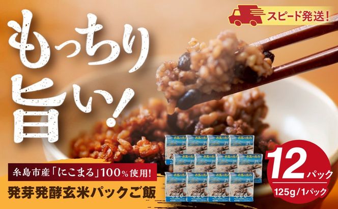 発芽発酵玄米パックご飯 125g×12パック 糸島市産 糸島市 / 糸島の恵み ごはん 米[AGR006]