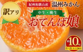 【先行予約】【訳あり】紀州和歌山産 温州みかん「おてんば娘」約10kg（箱込み）S～2L サイズ混合（中生・晩生）