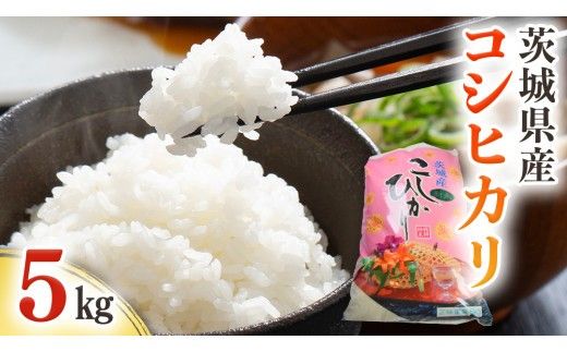 茨城県産 コシヒカリ 5kg ( 5kg × 1袋 ) 令和7年産 米 お米 コメ 白米 こしひかり 茨城県 新生活 応援 [EG001ci]