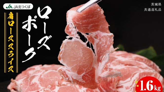 y錧}szy JAk z [Y|[N [X XCX 1.6kg ( 800g × 2 ) uh  ؓ    ɂ [X ē o[xL[ Mtg  蕨 錧ʕԗi [AE034ci]