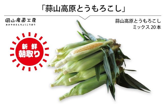 蒜山高原 とうもろこし ミックス20本 / 数量限定 人気 朝採り 新鮮 スイートコーン トウモロコシ 高糖度 甘い 夏野菜 岡山県 真庭市 産地直送 ギフト 【配送不可地域：北海道／沖縄県／離島】【jujy004-02】