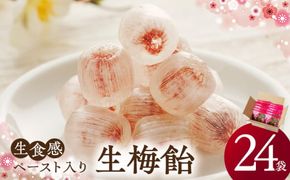 生梅飴［109R02］