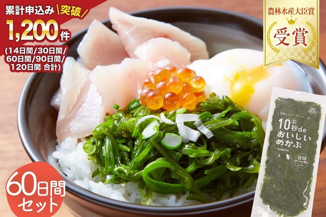 y{錧CszTVEVŏЉ ! 10bde߂ 60ԃZbg(Ɛ^t) [۔ɏX {錧 Cs 20565505] C O OY  ߂ Ju Y ^t ①