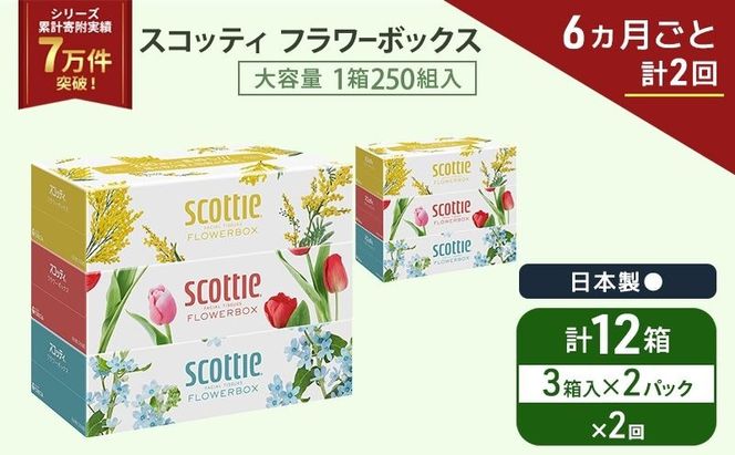 定期便 ティッシュ スコッティ フラワーボックス 3箱 × 2 パック《 6ヶ月ごと計 2回 》ティッシュセット