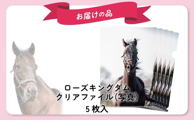 【ローズキングダム】クリアファイル 写真5枚入り BRTV255
