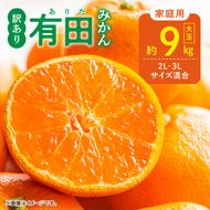 DZ6217_【2026年先行予約】ご家庭用 有田みかん 大玉(2L,3Lサイズ混合) 約9kg