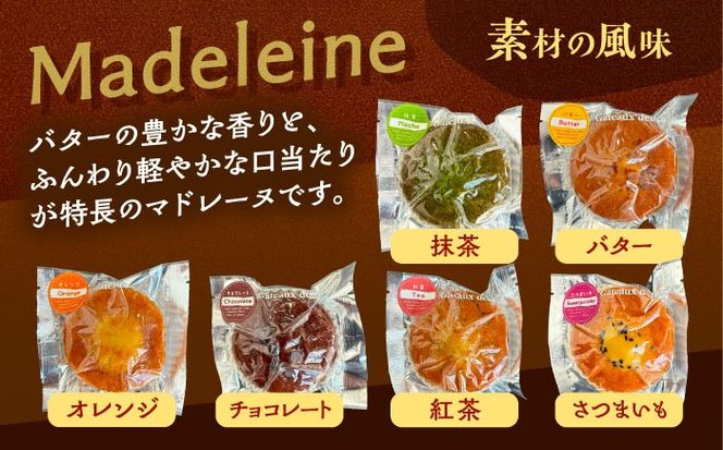 焼き菓子 詰め合わせ 10個 マドレーヌ フィナンシェ 個包装 愛西市 / 有限会社モンシェリー 【配送不可：離島】[AEBB010]