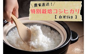 特別栽培コシヒカリ　白米5kg お米 