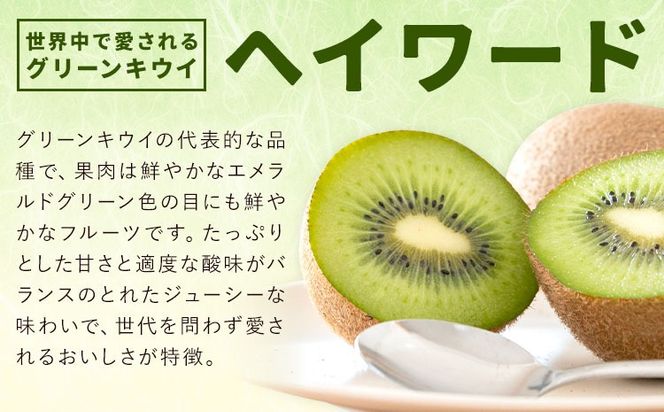 キウイフルーツ ヘイワード 約4kg 24玉 ～ 30玉 松本果樹園 《12月中旬-1月末頃出荷》茨城県 結城市 キウイ きうい グリーンキウイ 果物 フルーツ 新鮮 国産 ギフト 贈答 送料無料---yuki_mtm_1_4kg---