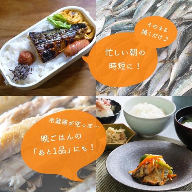 〈毎月定期便〉【ご家庭用　訳あり】塩さばフィレ2kg 全3回