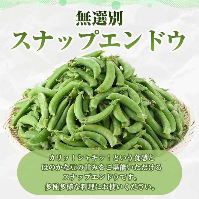 ＜先行予約受付中！2026年12月中旬以降順次発送予定＞訳あり！鹿児島県産 スナップエンドウ(約2kg) 国産 野菜 スナップエンドウ スナップえんどう おつまみ サラダ 炒め物 訳アリ サイズ混合【松永青果】akn053-07