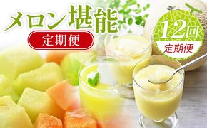 メロン 定期便 【12回定期便】メロン堪能定期便 - 国産 マスクメロン 完熟 赤肉 青肉 家庭用 フルーツ 果物 ピューレ シャーベット 飲み物 飲料 フルーツジュース 篤農 常温 冷凍  Wtn-0056
