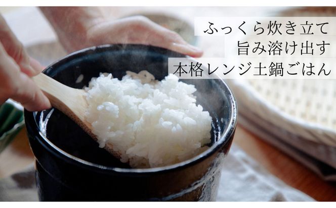 【2個セット】伊賀焼 レンジ炊飯土鍋　伊賀ノ匠2個セット　IG21 242161_EP002