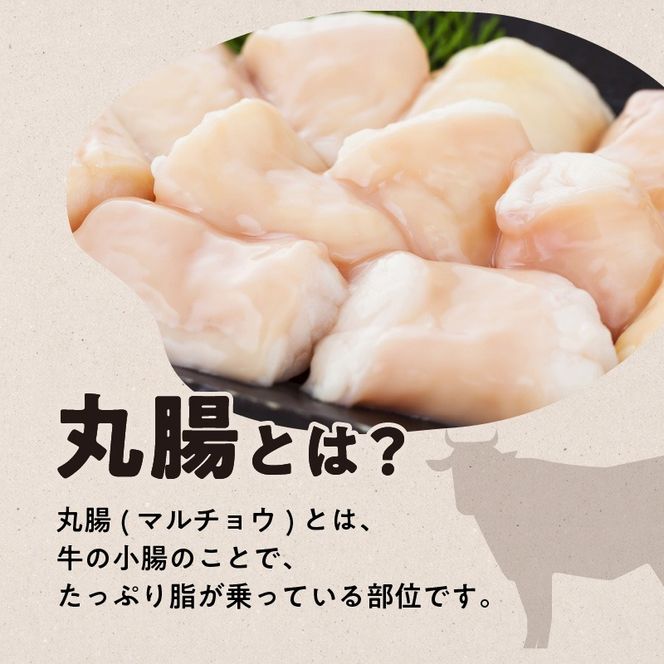 黒毛和牛丸腸（ホルモン）300g入り×2パック　K130-001_cp
