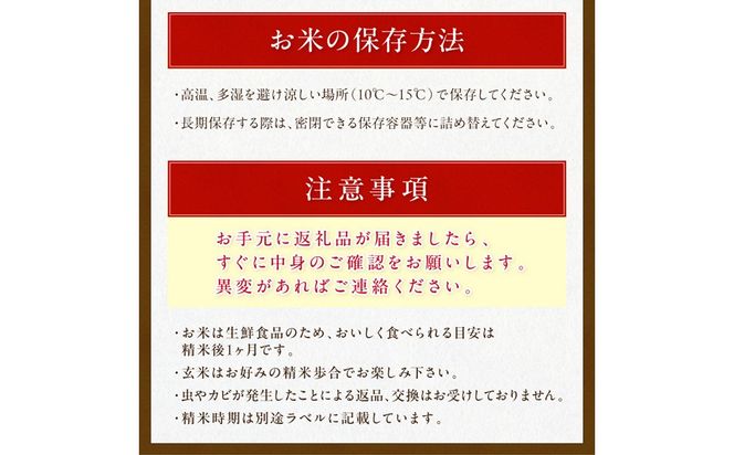 直売所直送「令和7年産　京丹後市産　コシヒカリ」　玄米10kg ふるさと納税 米 玄米 特A 検査1等米 国産 こめ ごはん 京都産 コシヒカリ 農家応援 生産者応援 送料無料　JA00096