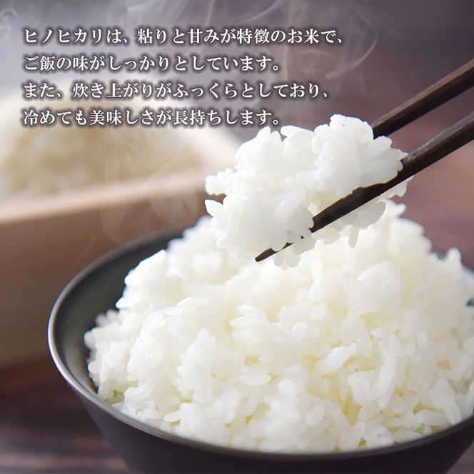 名手農園の淡路島産ヒノヒカリ 10kg　白米