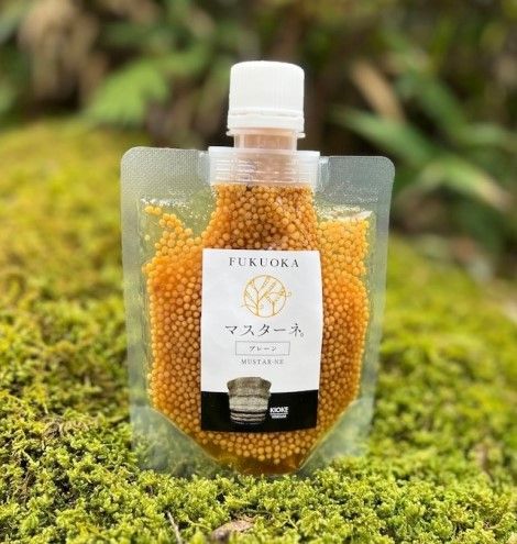 調味料 マスタード 2本 セット マスターネ。 木桶プレーン 木桶醤油 各120g 無添加 食べ比べ ※配送不可:離島 