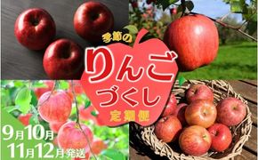 【令和7年度予約受付】大文字りんご園 季節のりんごづくし定期便！/ 樹上完熟 りんご リンゴ 林檎 紅いわて サン北斗 大夢 サンフジ 果物 くだもの フルーツ 甘い 旬 産地直送 予約 先行予約【dma513-set-3×4A】