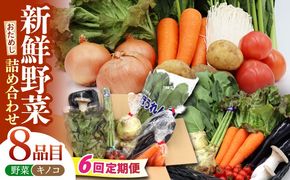 【6回定期便】お試し野菜セット 8品目 詰め合わせ / 野菜 やさい ヤサイ 旬 新鮮 / 南島原市 / 吉岡青果[SCZ029]