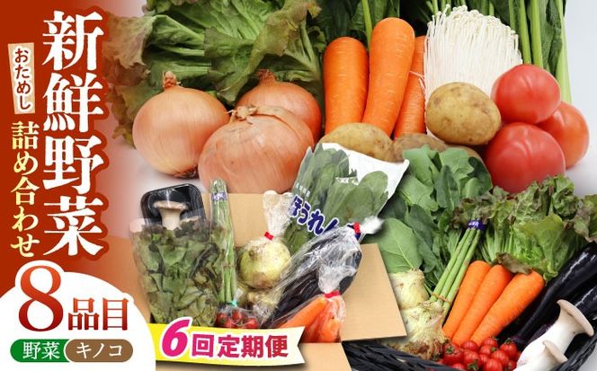 【6回定期便】お試し野菜セット 8品目 詰め合わせ / 野菜 やさい ヤサイ 旬 新鮮 / 南島原市 / 吉岡青果[SCZ029]