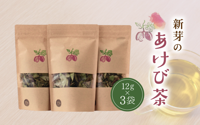 新芽のあけび茶 12g×3 / アケビ 岡山県 真庭市 しげや 【shigeya009-01】