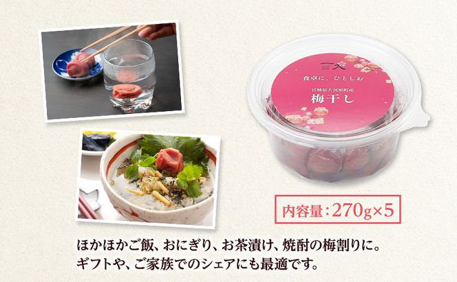 大河原産 昔ながらのすっぱいしそ梅干し 270g 5個セット ご飯のお供に 梅干し 梅干 うめぼし ウメボシ 梅 ごはんのお供 ご飯のお供 おにぎり 弁当 お弁当