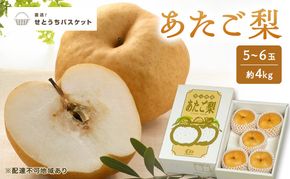 梨 2027年 先行予約 あたご梨 5～6玉 約4kg ナシ なし 岡山県産 国産 フルーツ 果物 直送！せとうちバスケット