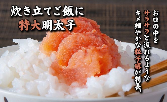 【丸鮮道場水産】 北海道産 明太子太物特大 750g めんたいこ 国産