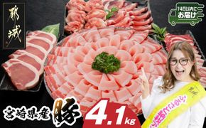 宮崎県産豚わくわく4.1kgセット(真空)≪みやこんじょ快速便≫_AC-8403-s-R_(都城市) 豚肉 豚肉セット 宮崎県産豚 しゃぶしゃぶ バラ 焼肉 切り落とし 肩ローススライス ロース とんかつ ミンチ 使い勝手抜群 小分け