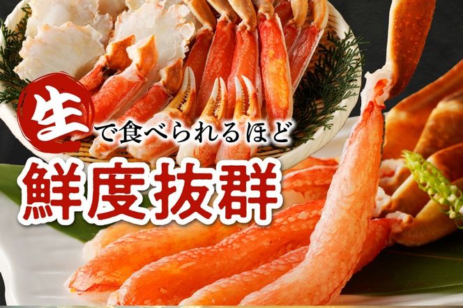 【迎春 12月26日～30日にお届け】鮮度抜群！お刺身でも食べられる！生本ズワイガニ棒肉ポーション　1パック　YK00079S