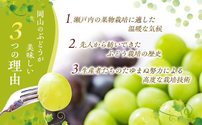 ぶどう 2026年 先行予約 ご家庭用 シャイン マスカット 2房 1房600g～700g 10月発送分 ブドウ 葡萄 フルーツ 果物 岡山 赤磐市産 農マル園芸 あかいわ農園 果物類 歯ごたえ ジューシー 上品な甘み 
