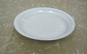 森と器シリーズ　皿1枚（6寸） 食器 陶磁器 