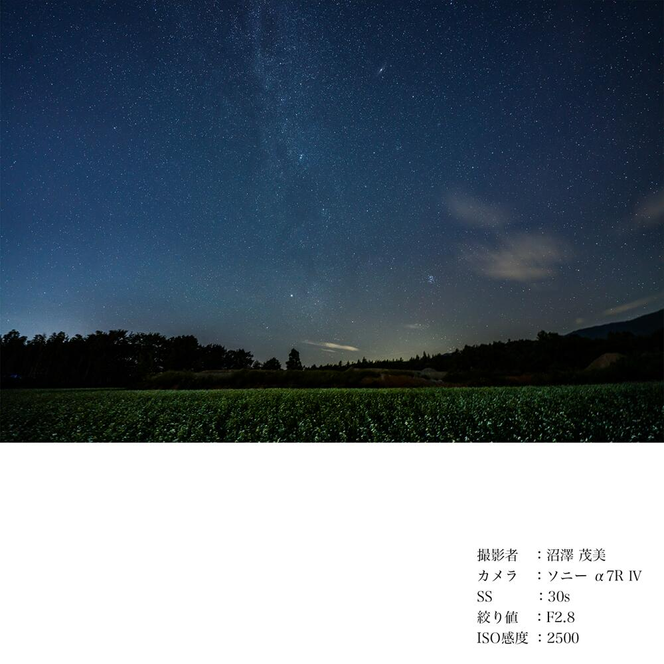 SIGMA 14-24mm F2.8 DG DN | Art【Lマウント用】カメラ レンズ 家電 