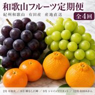 【2・8・9・12月 全4回】紀州和歌山産旬のフルーツセット（巨峰・シャインマスカット・みかん・不知火） 定期便 AN052