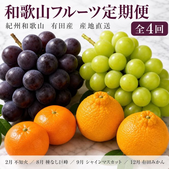 【2・8・9・12月 全4回】紀州和歌山産旬のフルーツセット（巨峰・シャインマスカット・みかん・不知火） 定期便 AN052