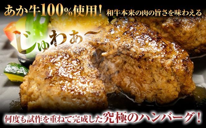 あか牛 100％ハンバーグ 120g×6個 あか牛のたれ付き 熊本県産 あか牛 あかうし 道の駅竜北《60日以内に出荷予定(土日祝除く)》 熊本県 氷川町 タレ付き ハンバーグ 熊本和牛 送料無料---sh_fskahbg_24_60d_18500_720g---