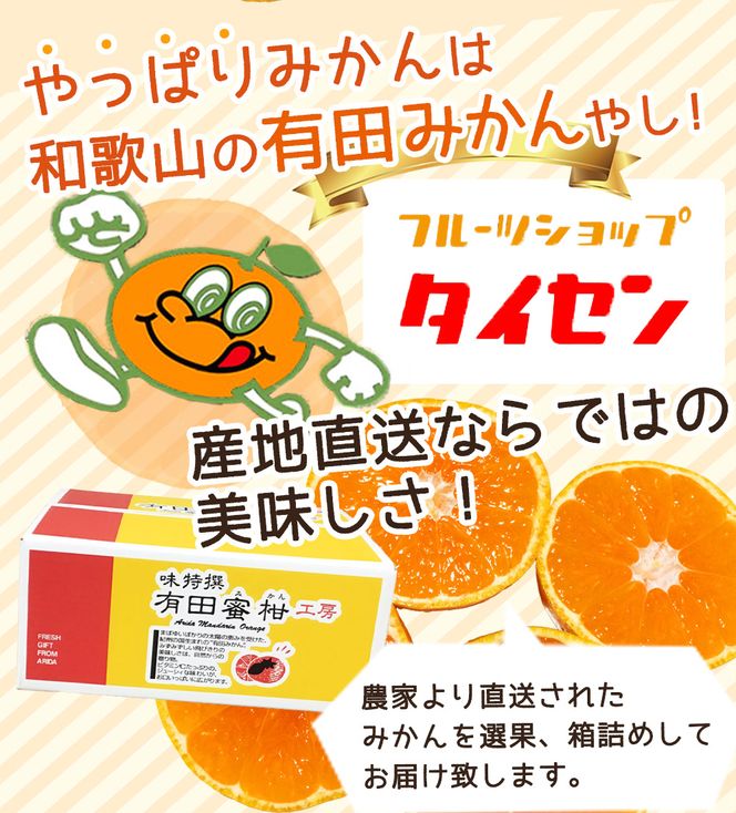 ZJ6084_【2026年先行予約】ご家庭用　和歌山有田みかん 約5kg (2L、3Lサイズいずれか)【湯浅町】
