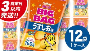 【最短3営業日！スピード発送】 カルビー ポテトチップス BIGBAG 160g うすしお味 1ケース ( 12袋 )  ポテチ お菓子 おかし 大量 スナック おつまみ ジャガイモ じゃがいも まとめ買い 数量限定